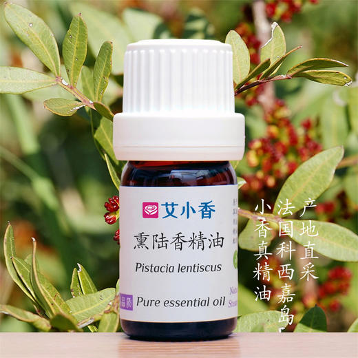 熏陆香精油 法国科西嘉岛产地直采 商品图0