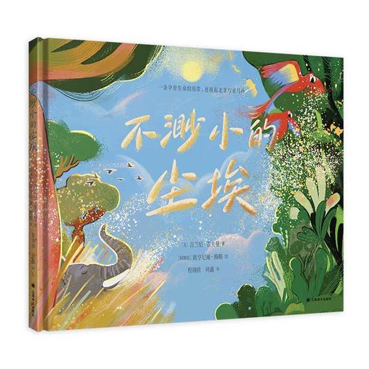 不渺小的尘埃 商品图0