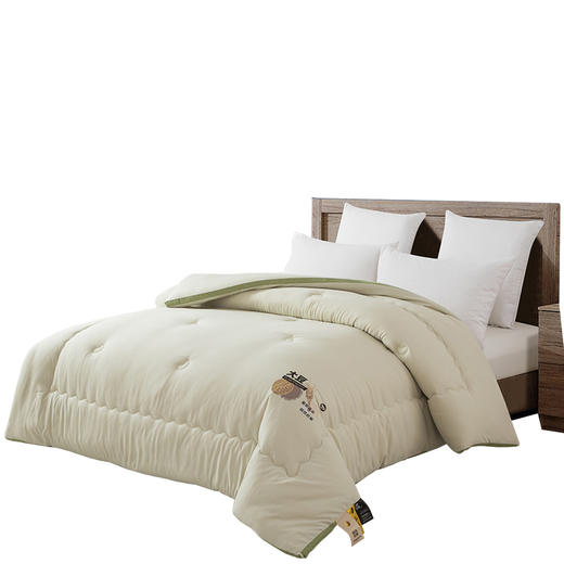 faunen芳恩 FN-B6094黄金大豆春秋被 200×230cm 商品图0