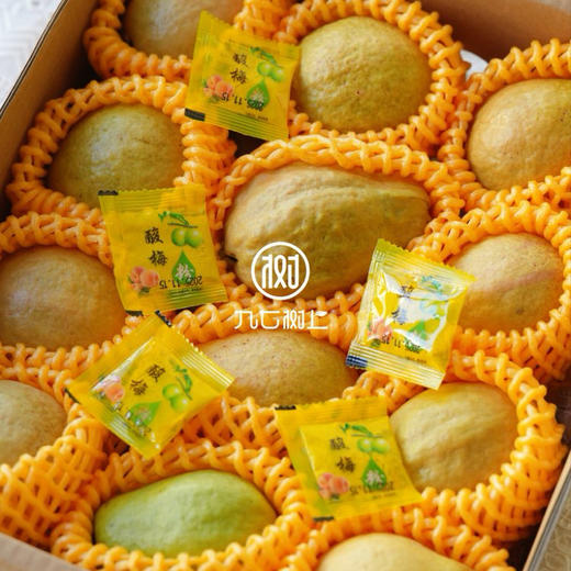 九七树上宝岛的芭乐  红白芭乐礼盒装当季新鲜送礼水果 商品图3