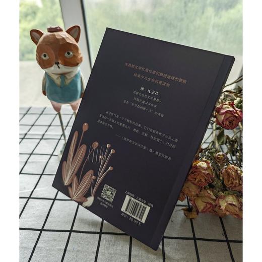 山雀的日历 商品图3