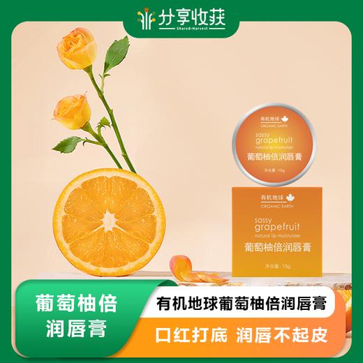 有机地球葡萄柚倍润唇膏10g植物保湿 商品图0