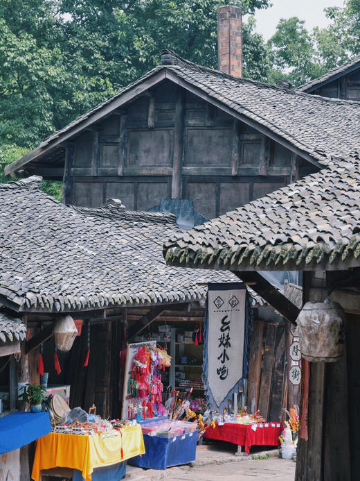 元旦1.1【绵阳·“鳞潜羽翔”地理自然主题一日营】三江湖湿地公园海鸥观测、寻龙山天然溶洞地质探秘、龙隐山民俗文化体验 商品图12