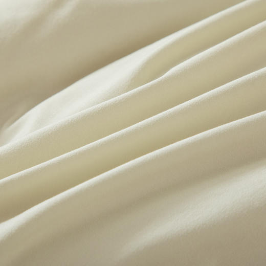 faunen芳恩 FN-B6094黄金大豆春秋被 200×230cm 商品图1