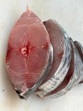 xm新鲜刚出水！现切鲜发顺丰包邮！！！当天切马鲛鱼片，一块煎、炸、蒸、煮皆是人间至味，爆款抢购活冻到家