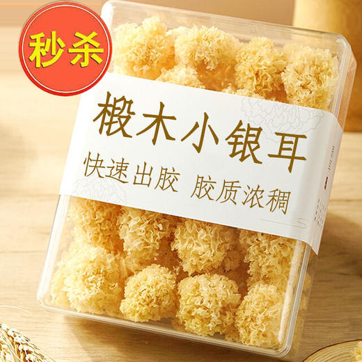 【耳片肥厚❗️朵型完整】特级椴木小银耳新货野生糯耳羹出胶雪耳古田干货白木耳无硫丑耳。jb 商品图0