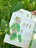 和孩子一起认识中国植物（套装3册） 商品缩略图6
