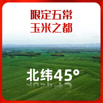 柴火大院 五常黄糯玉米 3.52斤(220g*8根) 杂粮礼盒 低脂粗粮 早餐 东北 /粮油调味 /杂粮 /谷米类 商品图2