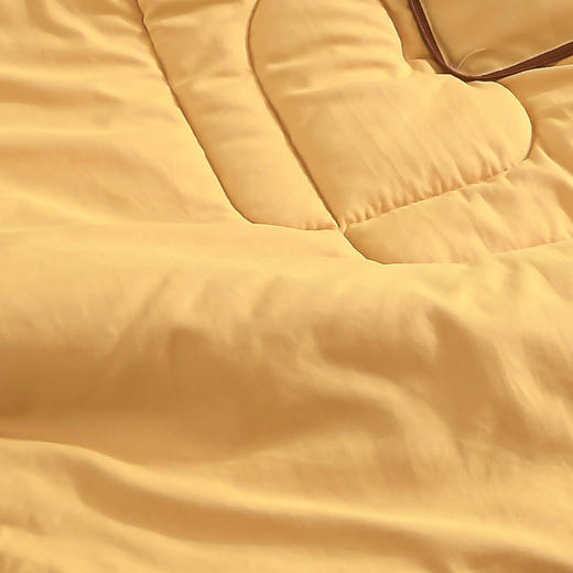 faunen芳恩 FN-R7011颜表情抱枕被 黄色 商品图3