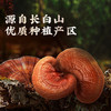 雷允上破壁灵芝孢子粉50g礼盒 商品缩略图3