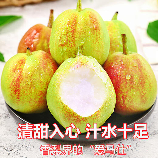 【食礼疆南】新疆库尔勒香梨现采摘新鲜水果精品 一级/特级 家庭装8斤/箱(QF) 商品图3