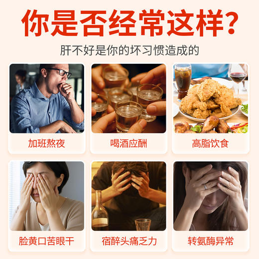 百年扁氏 赐兰堂牌水飞蓟红景天灵芝片 商品图2