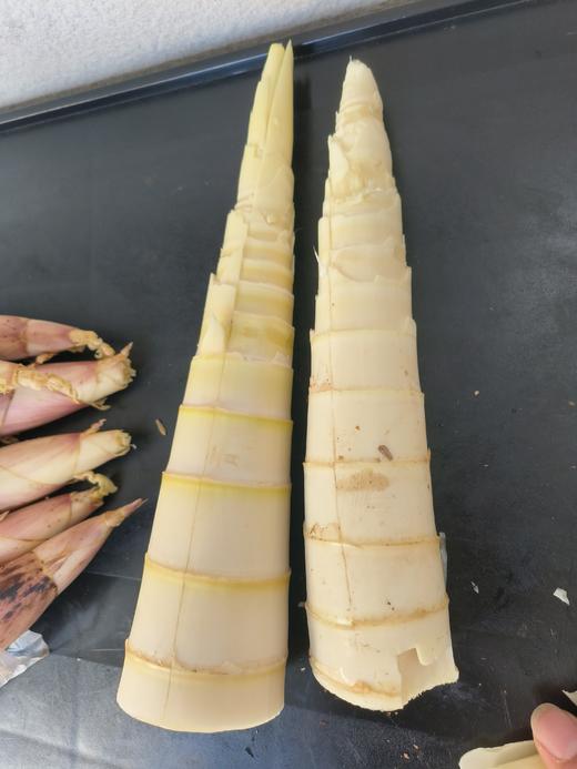 句容新鲜雷笋 顺丰包邮 现挖现发 5斤/箱 商品图3