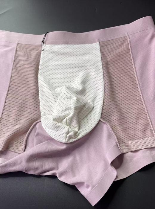 （秒杀39元3条）只有L码80支兰精莫代尔男士内裤空调裤透气内裤22903703 商品图5