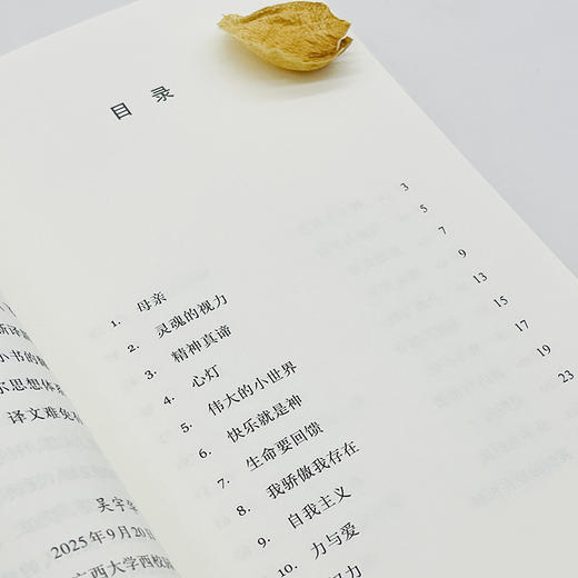 寂乡沉思录 商品图5