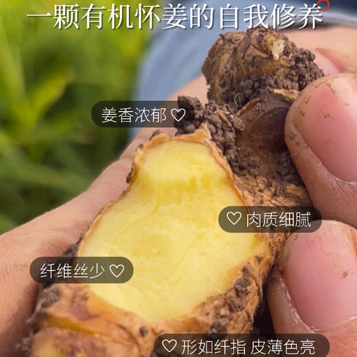 有机鲜怀姜（嫩姜）2斤 商品图4