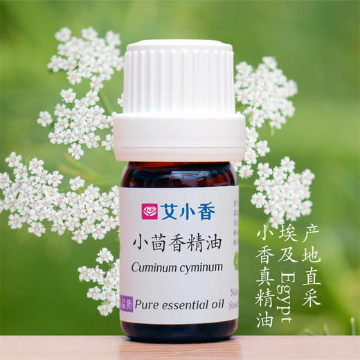 小茴香精油 独特辛香 埃及产地直采 商品图0