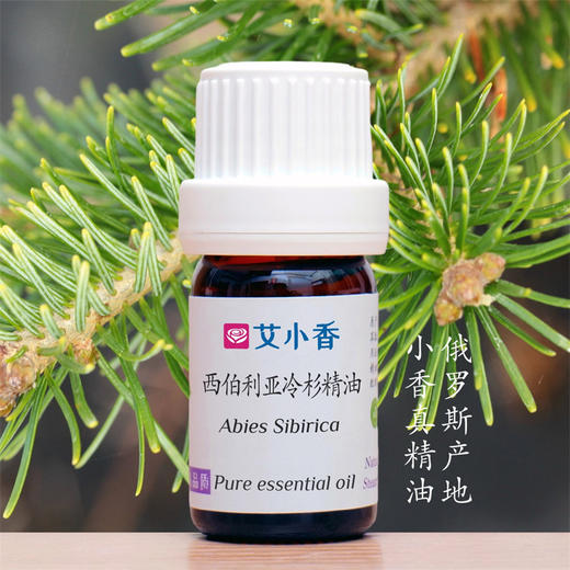 西伯利亚冷杉精油 木香活力提振香薰 酷寒之地的坚毅 俄罗斯产地 商品图0