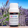 法国真实薰衣草精油原生品种 普罗旺斯产地直采 入门精油放松宁静香氛 商品缩略图0