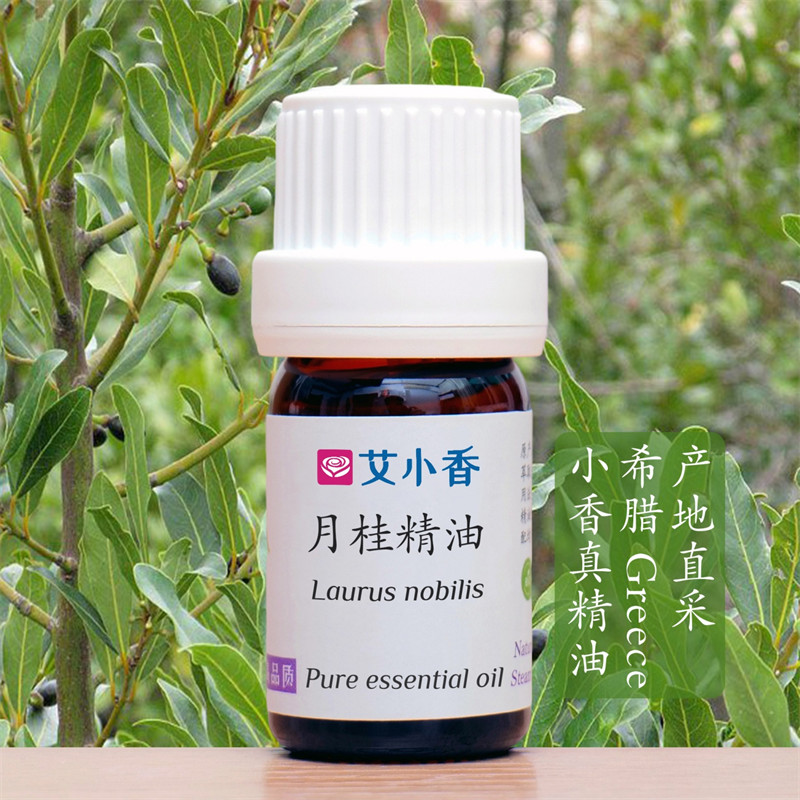 月桂精油 希腊产地直采 浓郁温暖提振 芬芳香气香薰
