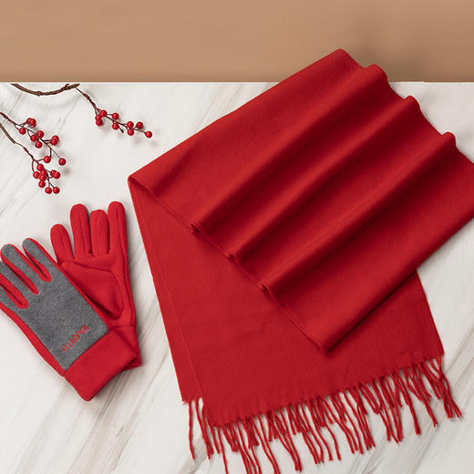 ELSYALN艾丝雅兰 A-ZH2002送温暖围巾手套套装 商品图5