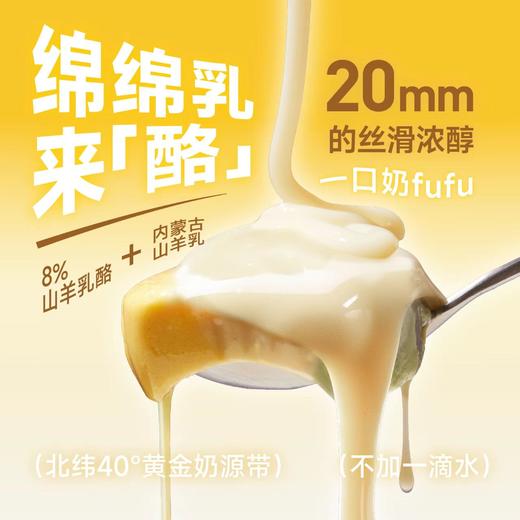 猫用主食餐盒彩虹挞挞 混合口味三色挞挞  40g*9杯/盒 商品图3