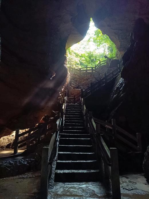 元旦1.1【绵阳·“鳞潜羽翔”地理自然主题一日营】三江湖湿地公园海鸥观测、寻龙山天然溶洞地质探秘、龙隐山民俗文化体验 商品图9