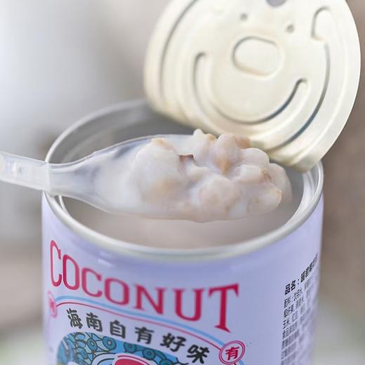 海南特产椰奶捞  采用老树椰肉  鲜榨椰奶 商品图1