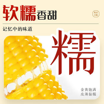 柴火大院 五常黄糯玉米 3.52斤(220g*8根) 杂粮礼盒 低脂粗粮 早餐 东北 /粮油调味 /杂粮 /谷米类 商品图6