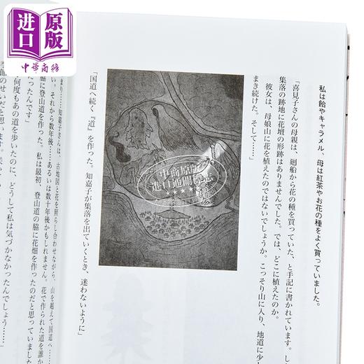 【中商原版】奇怪地图 怪屋谜案作家雨穴新作 日本悬疑推小说 日文原版日韩 変な地図 商品图3