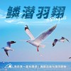 元旦1.1【绵阳·“鳞潜羽翔”地理自然主题一日营】三江湖湿地公园海鸥观测、寻龙山天然溶洞地质探秘、龙隐山民俗文化体验 商品缩略图0
