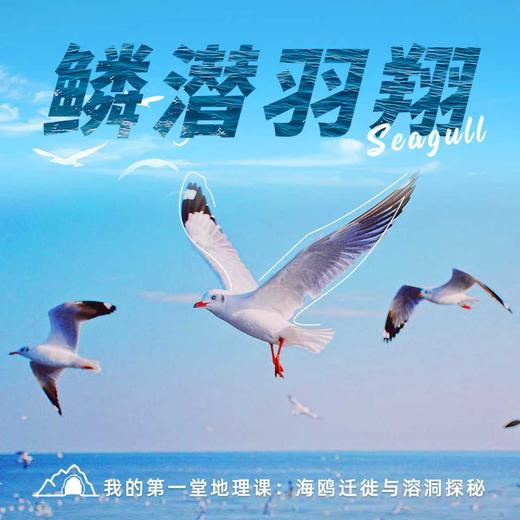 元旦1.1【绵阳·“鳞潜羽翔”地理自然主题一日营】三江湖湿地公园海鸥观测、寻龙山天然溶洞地质探秘、龙隐山民俗文化体验 商品图0
