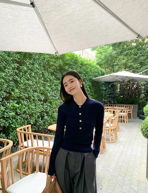 直发【M9088】超经典杨树林同款 翻领羊毛POLO衫 合身优雅 商品图1