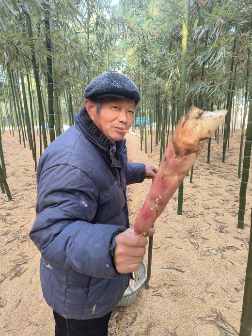 句容新鲜雷笋 顺丰包邮 现挖现发 5斤/箱 商品图1