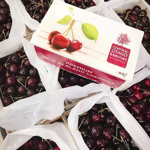新西兰空运极鲜车厘子！甜度天花板！好吃至极！ 商品图7