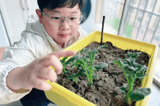 【2H公益时长】迎新年半日亲子营，灌香菇肠、学农知、种吉祥菜、认养吉祥盆栽、趣味滚轮胎、喂养小动物……快乐寻年记，寻觅田园味 商品图3