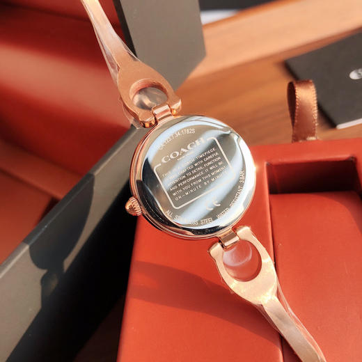 直发【质保一年，无盒】 PARK系列小女表。碗表 商品图6