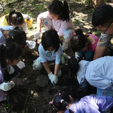 【2H公益时长】迎新年半日亲子营，灌香菇肠、学农知、种吉祥菜、认养吉祥盆栽、趣味滚轮胎、喂养小动物……快乐寻年记，寻觅田园味 商品图2