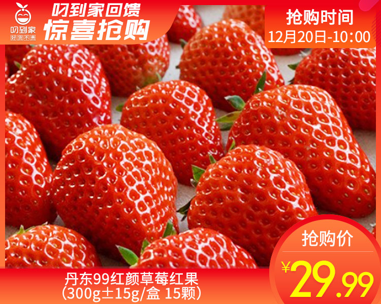 丹东99红颜草莓红果（300g±15g/盒 15颗）