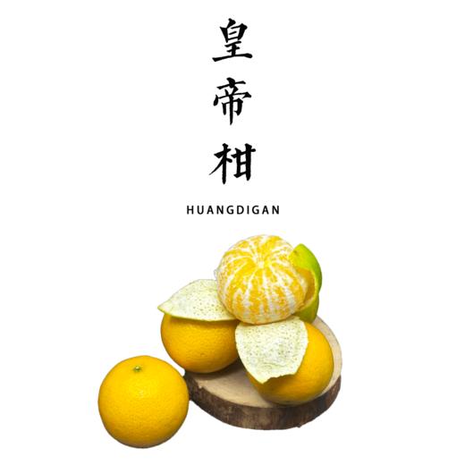 有机皇帝柑 3斤装   产地：广东 商品图0