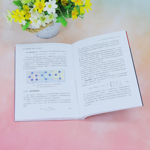 图数据挖掘:算法,安全与应用 商品图1