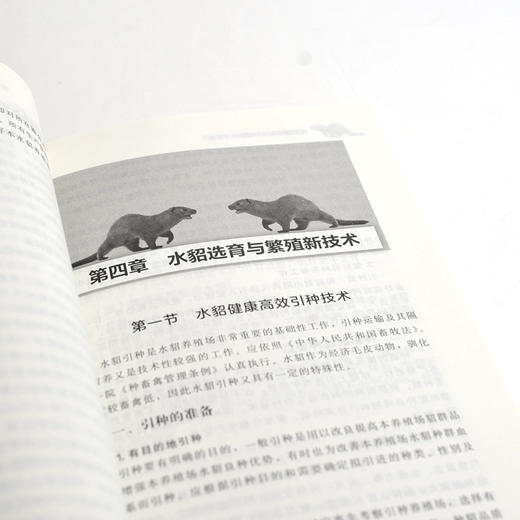 水貂健康高效养殖新技术宝典 商品图4