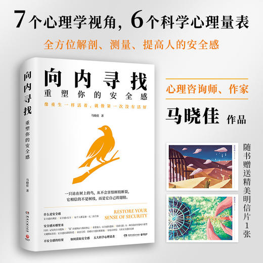 向内寻找:重塑你的安全感 商品图0