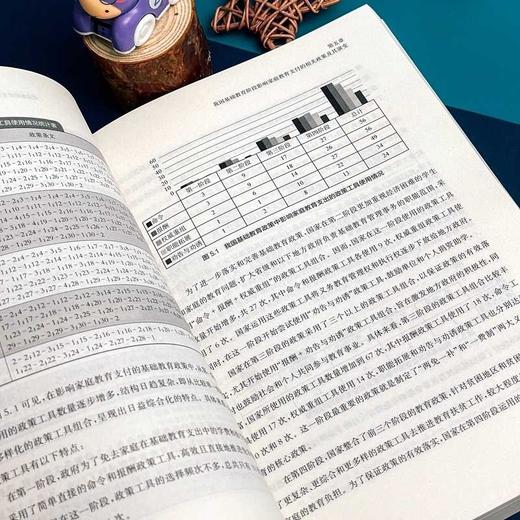 通路:农村家庭教育支付能力探索 商品图4