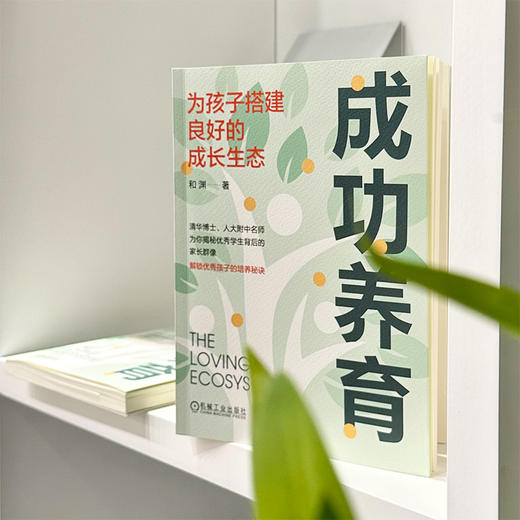 成功养育:为孩子搭建良好的成长生态 商品图3
