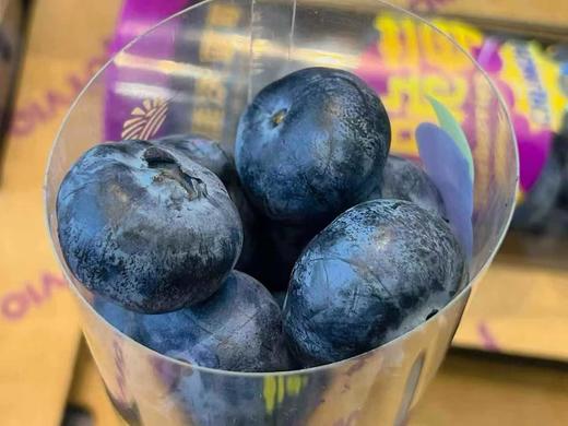 一口吃出花香！【云南花香蓝莓礼盒 】新鲜直达 商品图3