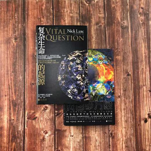 复杂生命的起源 商品图2