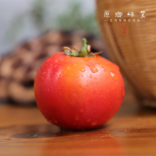 【预售，排单发货】露天有机小番茄/露天有机草莓番茄（基地直发－顺丰包邮）| 多种规格，来自云南丽江华坪，生产者：庄代康【合作生产，公平贸易】 商品图8