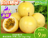 龙岩钦蜜9号黄金百香果（中果）/1份（1kg±50g） 商品缩略图0