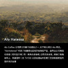 明谦西达摩ALO咖啡豆埃塞俄比亚手冲冰美式咖啡黑咖啡新鲜浅烘焙 商品缩略图2